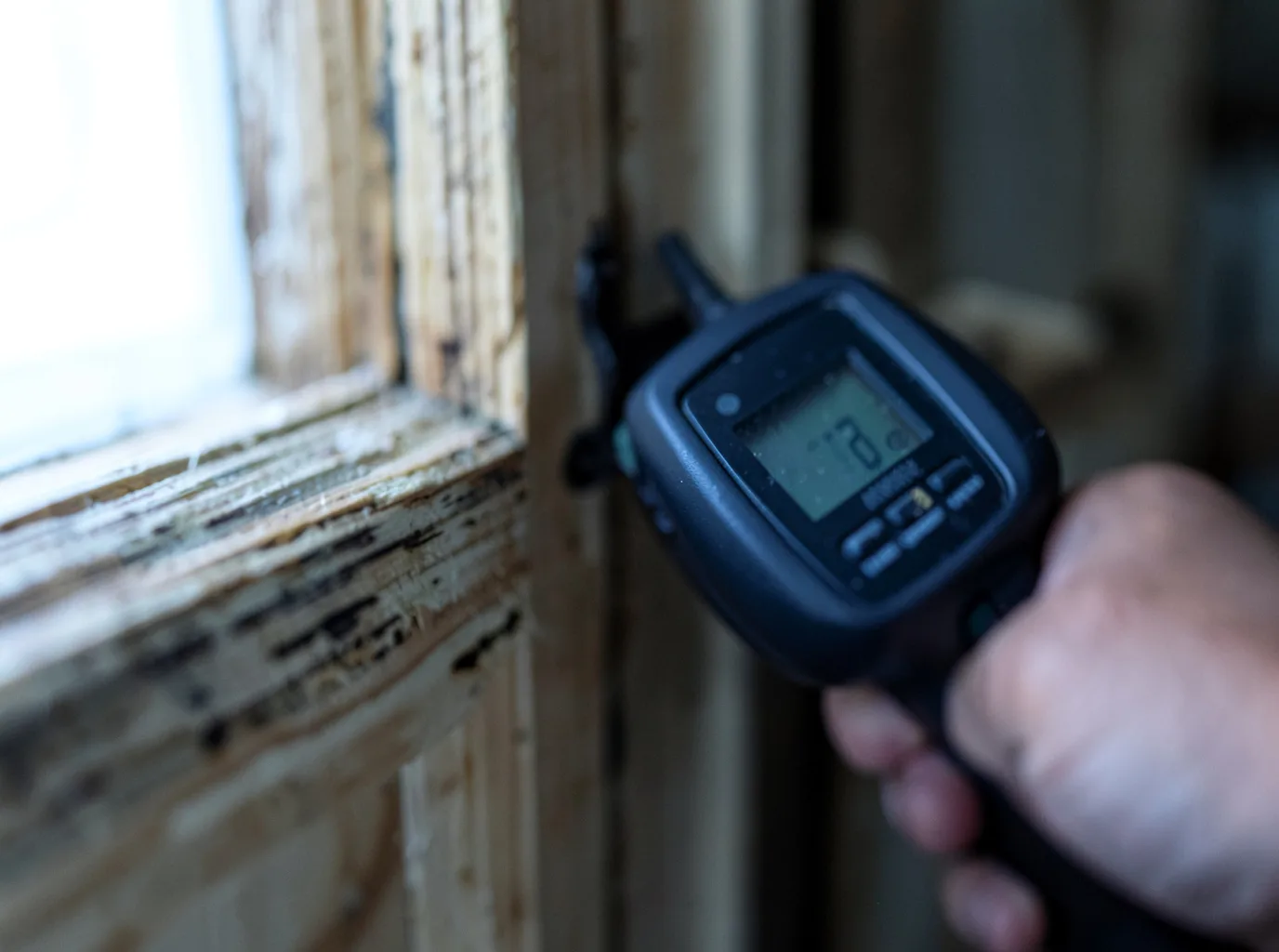 Commercial Water Damage Restoration in Truman, MN